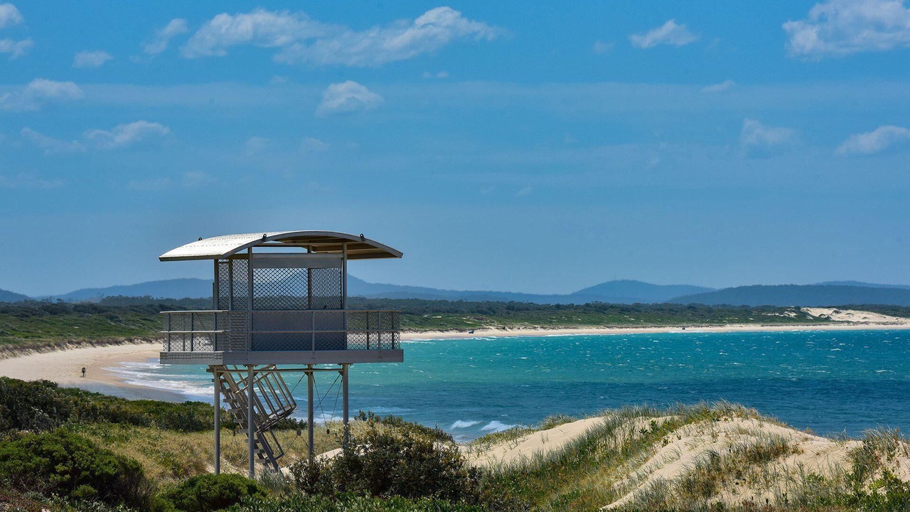 Photo of Others in Hawks Nest