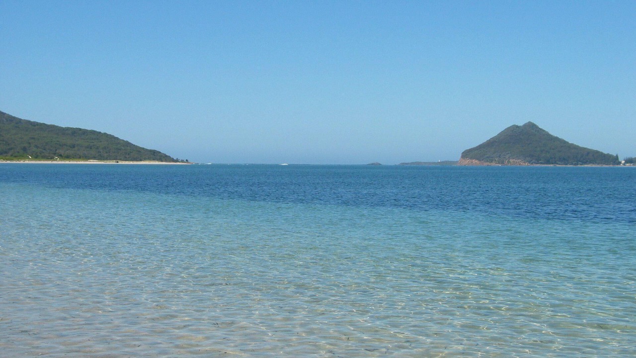 Photo of Others in Tea Gardens