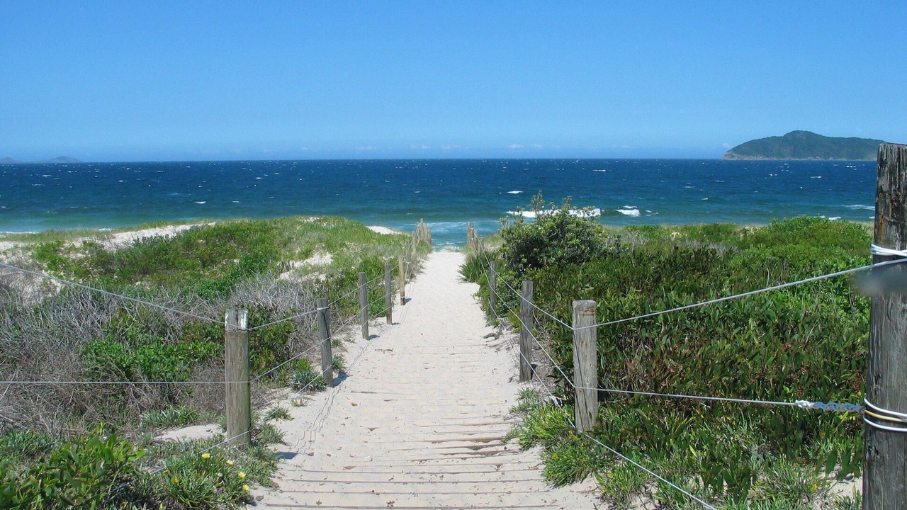 Photo of Others in Tea Gardens