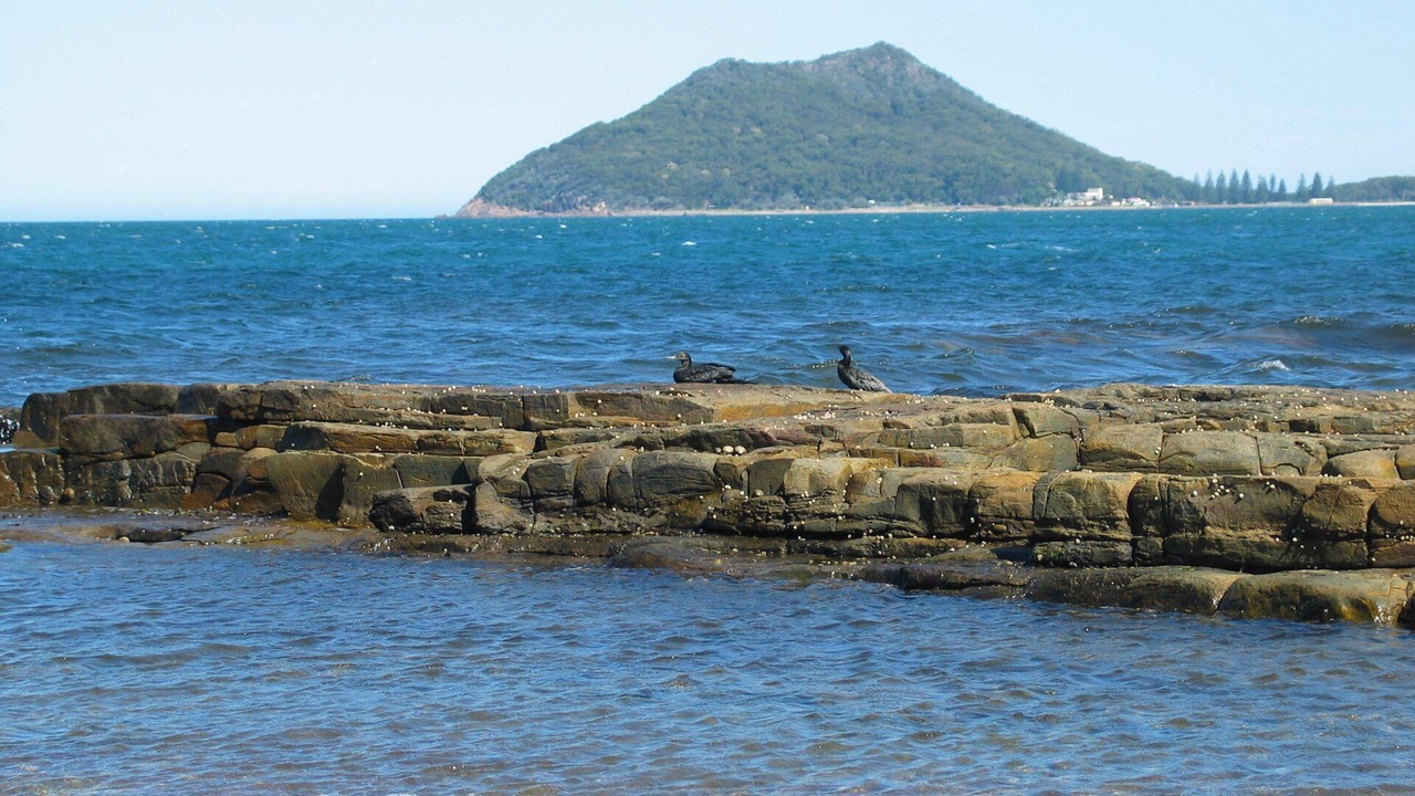 Photo of Others in Tea Gardens