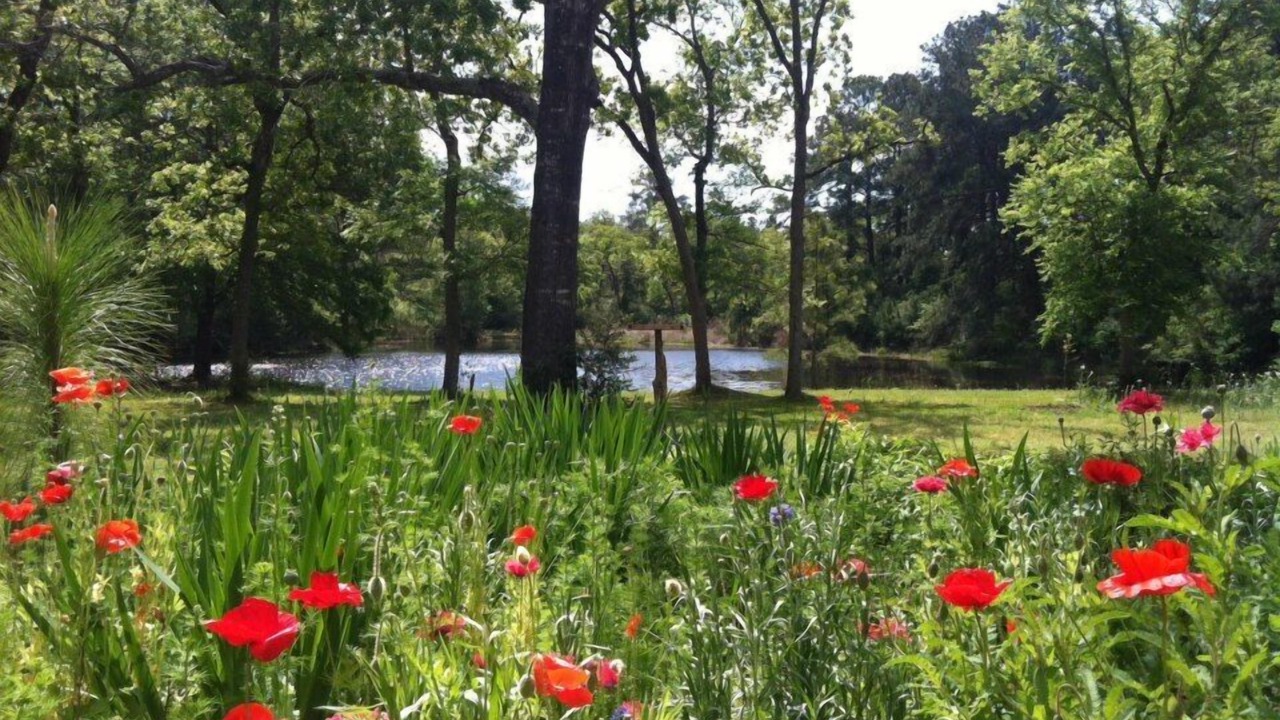 Photo of Outdoor in Grimes County