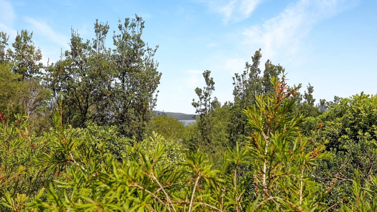 Photo of Others in Winda Woopa