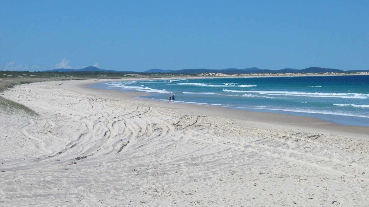 Photo of Others in Hawks Nest