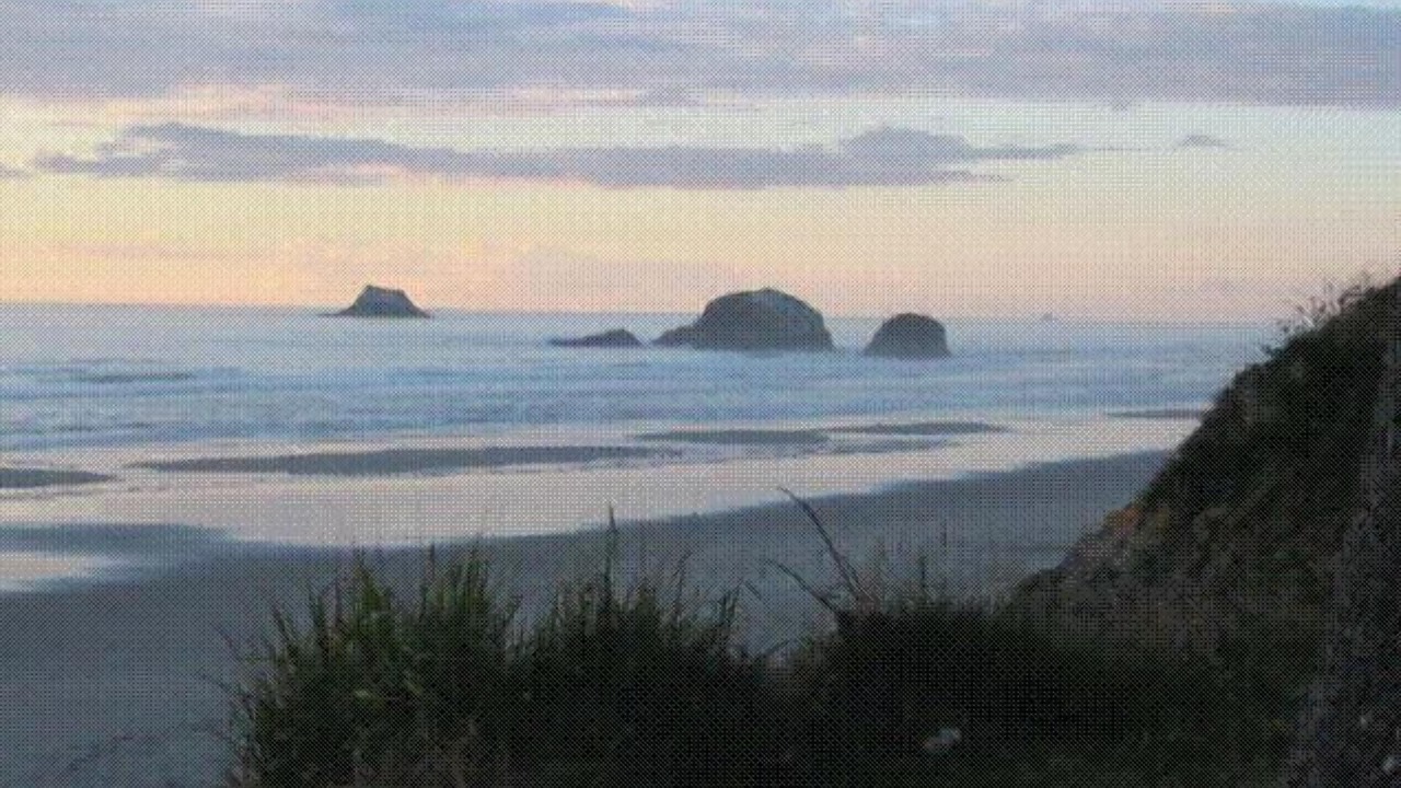 Photo of Others in Arch Cape