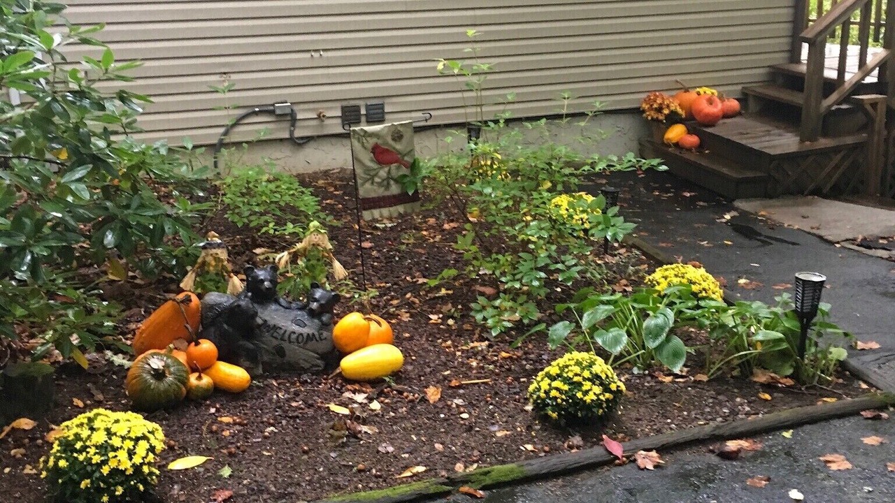 Photo of Outdoor in Waynesville