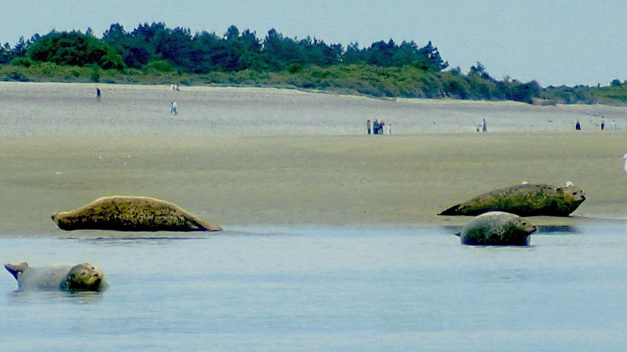 Photo of Others in Abbeville