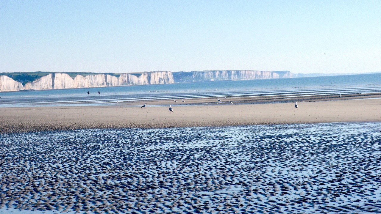 Photo of Others in Abbeville