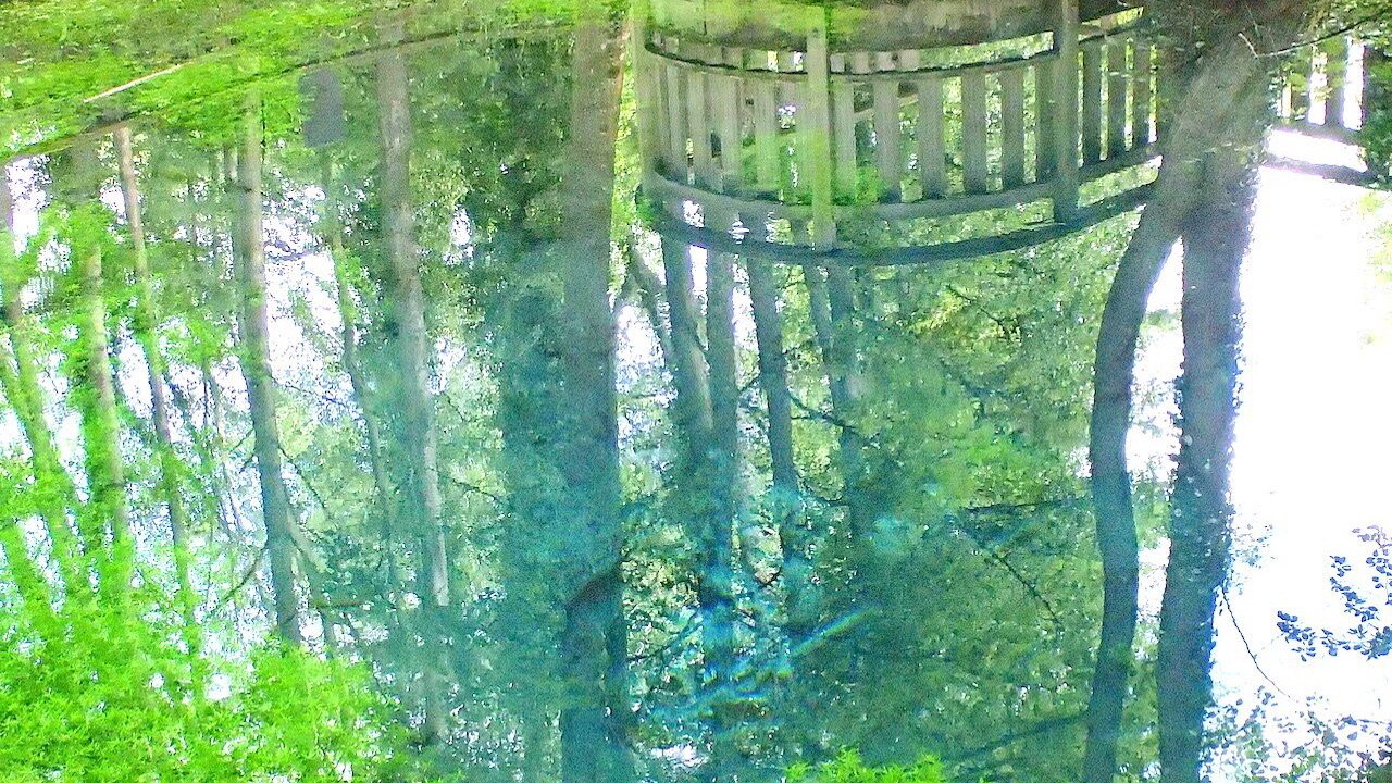 Photo of Outdoor in Abbeville