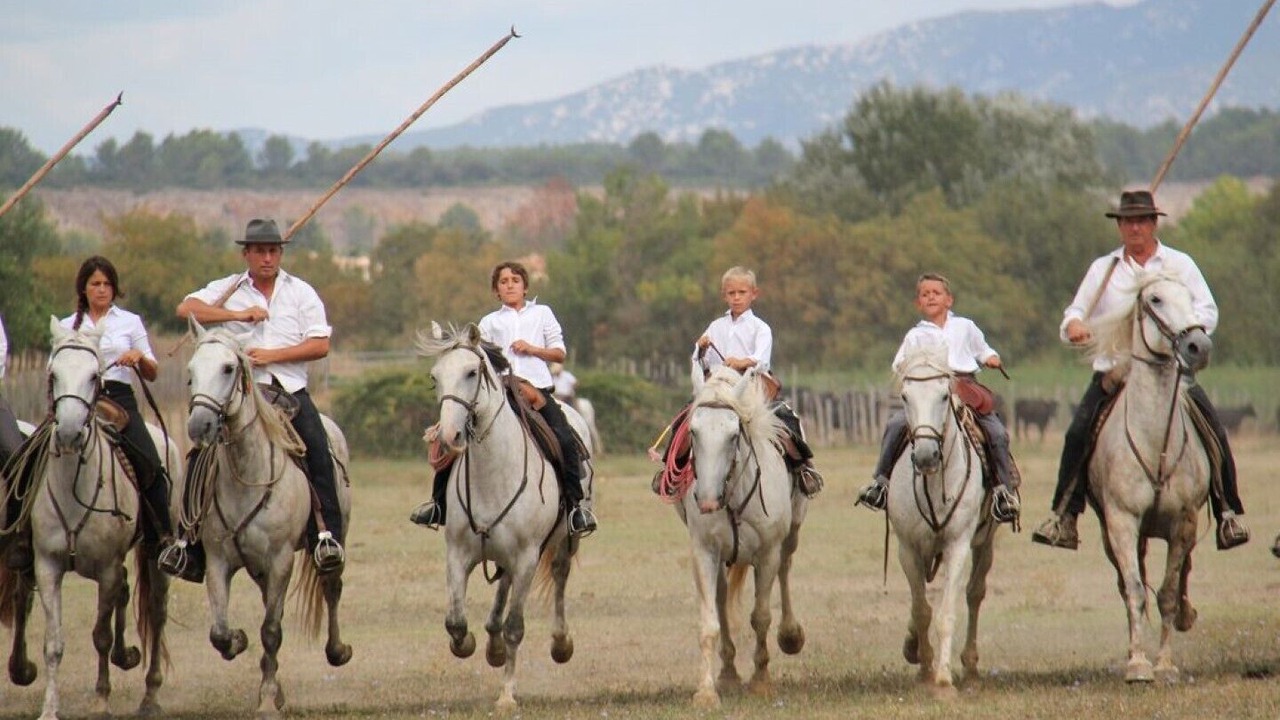 Photo of Others in Le Cres