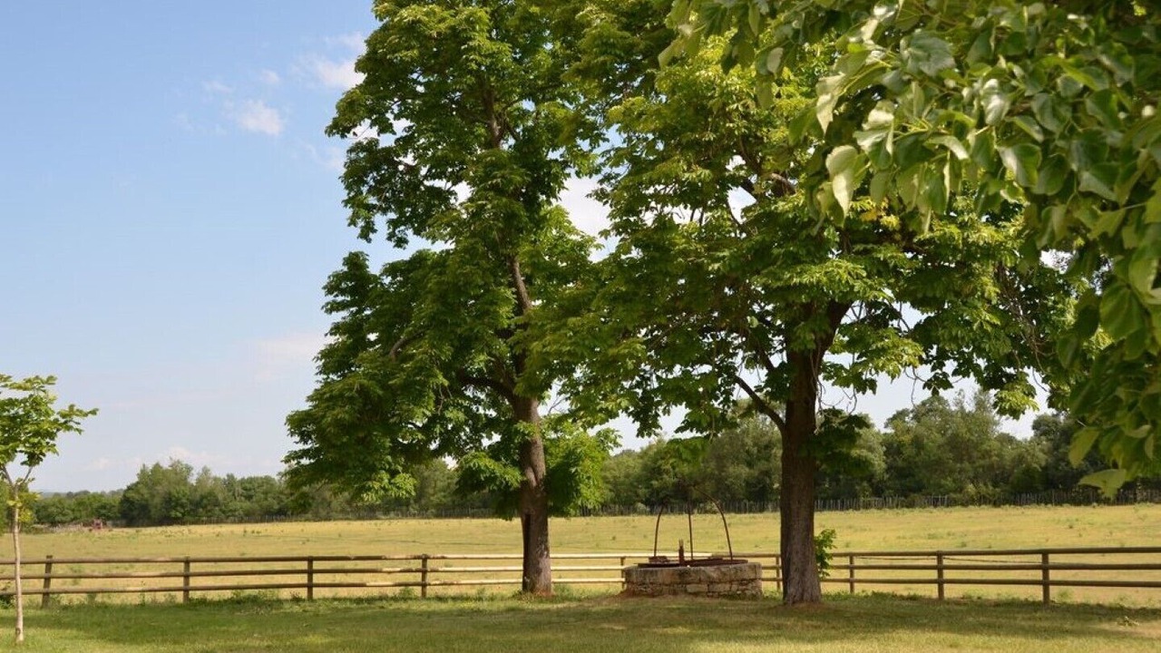 Photo of Outdoor in Le Cres