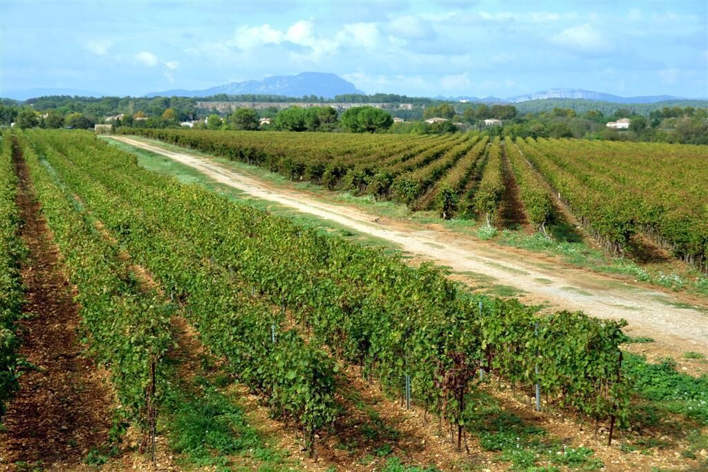 Photo of Outdoor in Le Cres