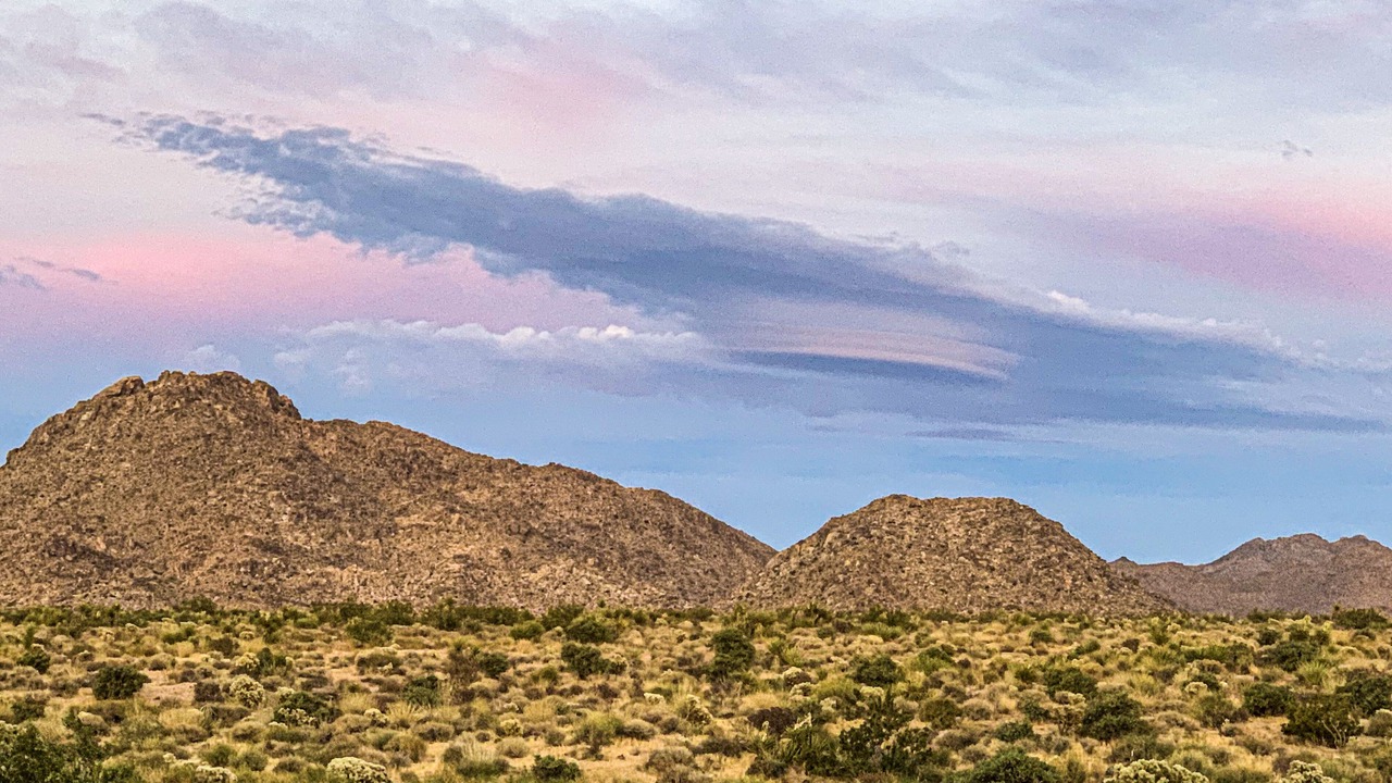Photo of Outdoor in Joshua Tree