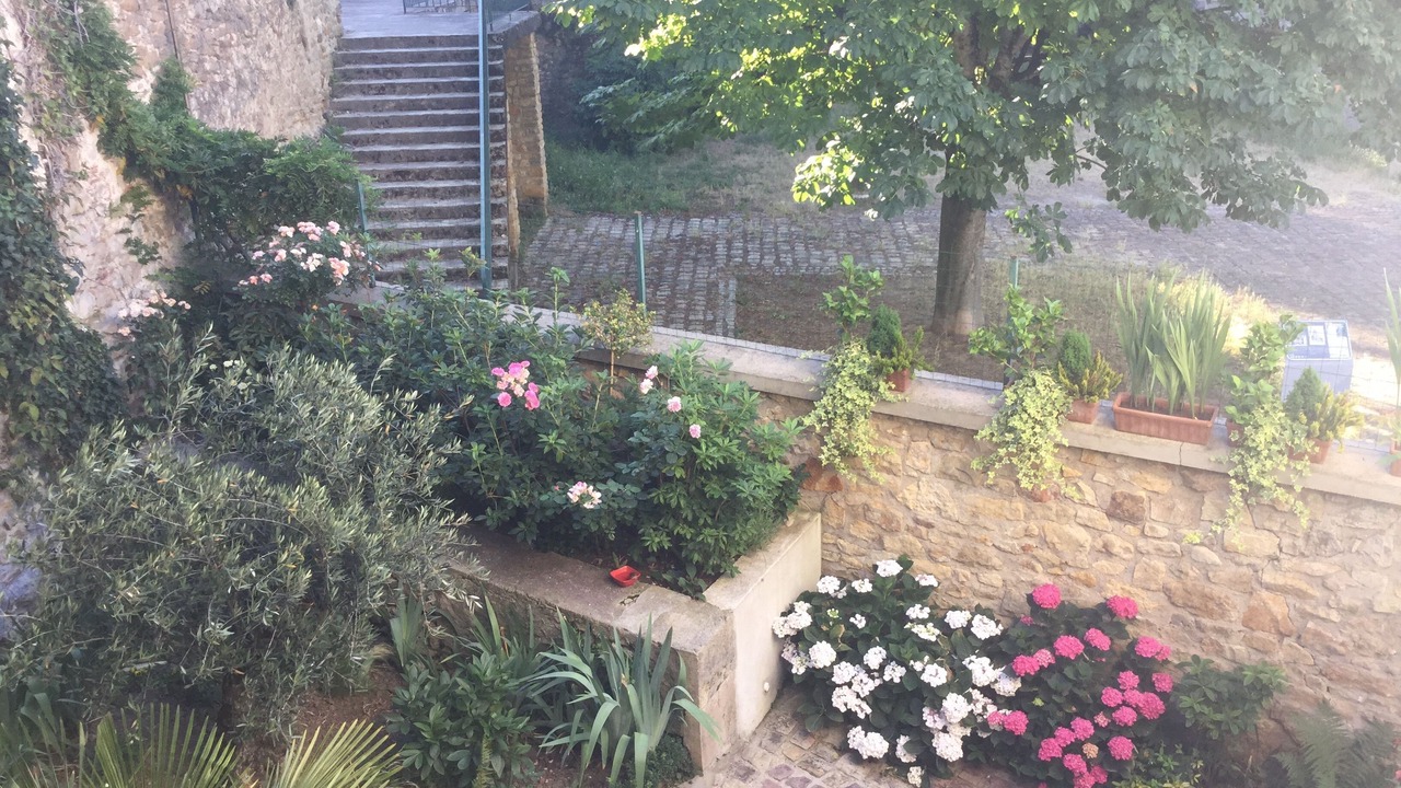 Photo of Outdoor in Vierzon