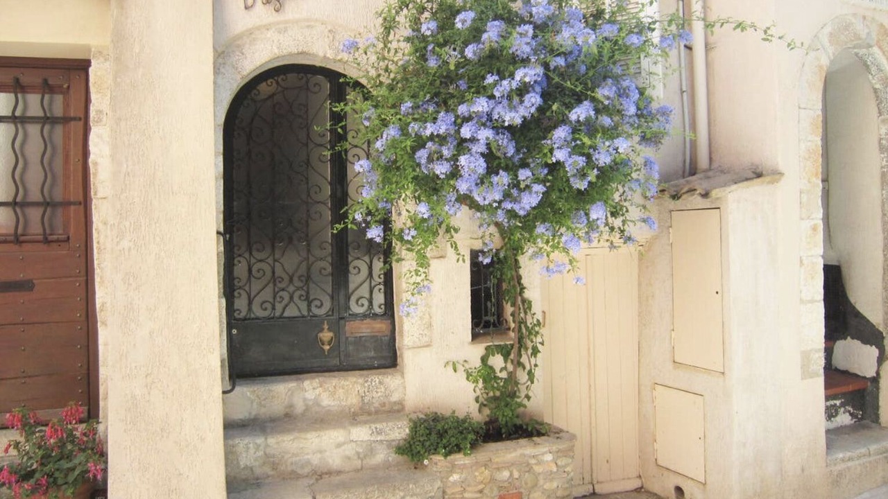 Photo of Outdoor in Old Town