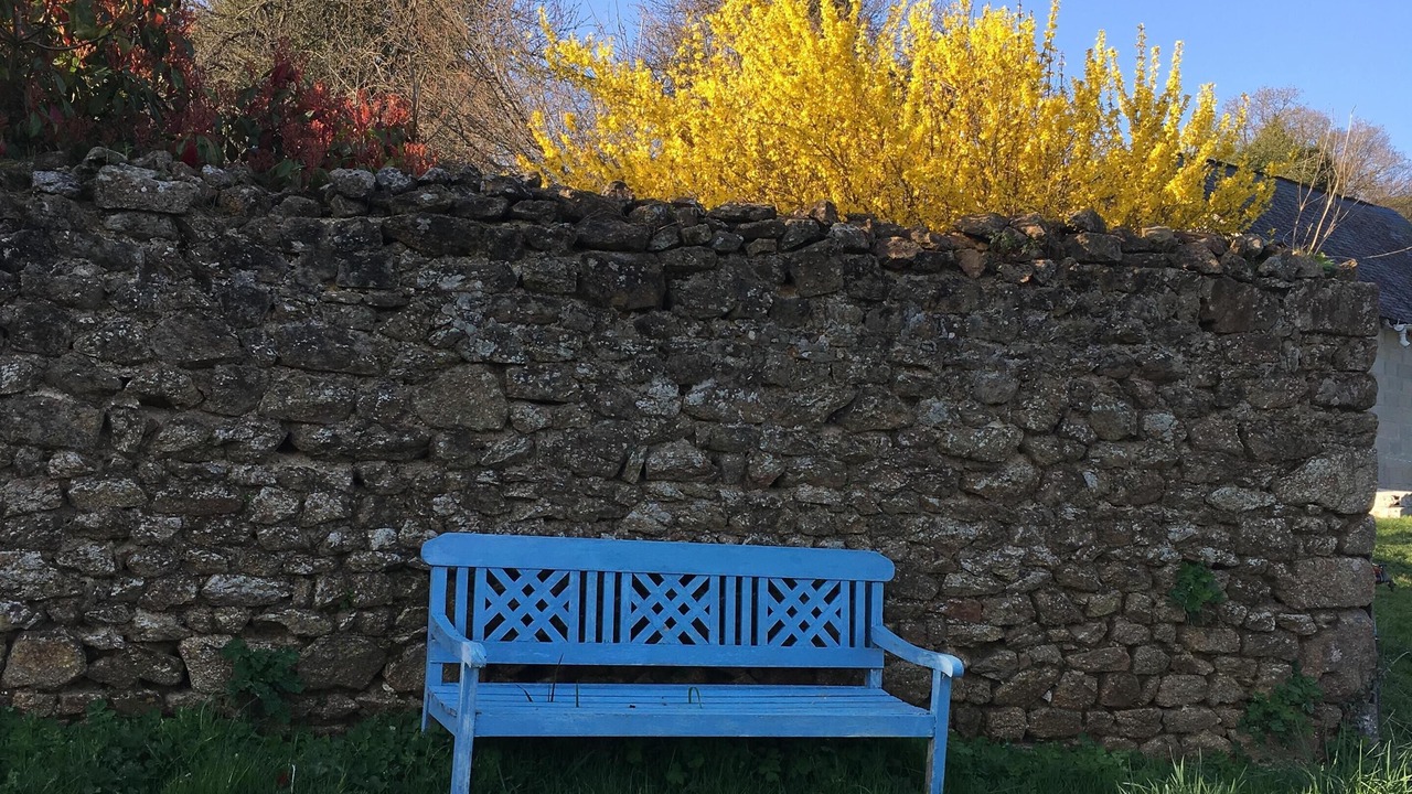 Photo of Outdoor in Trans