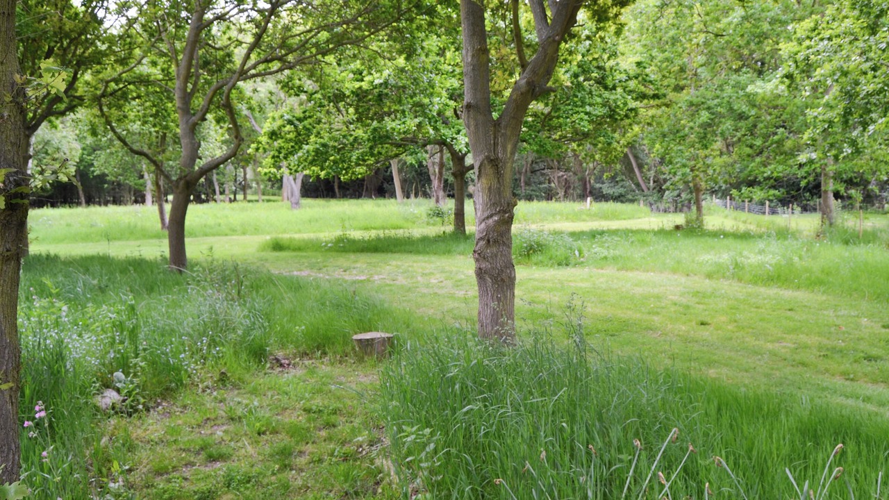 Photo of Others in Lessingham