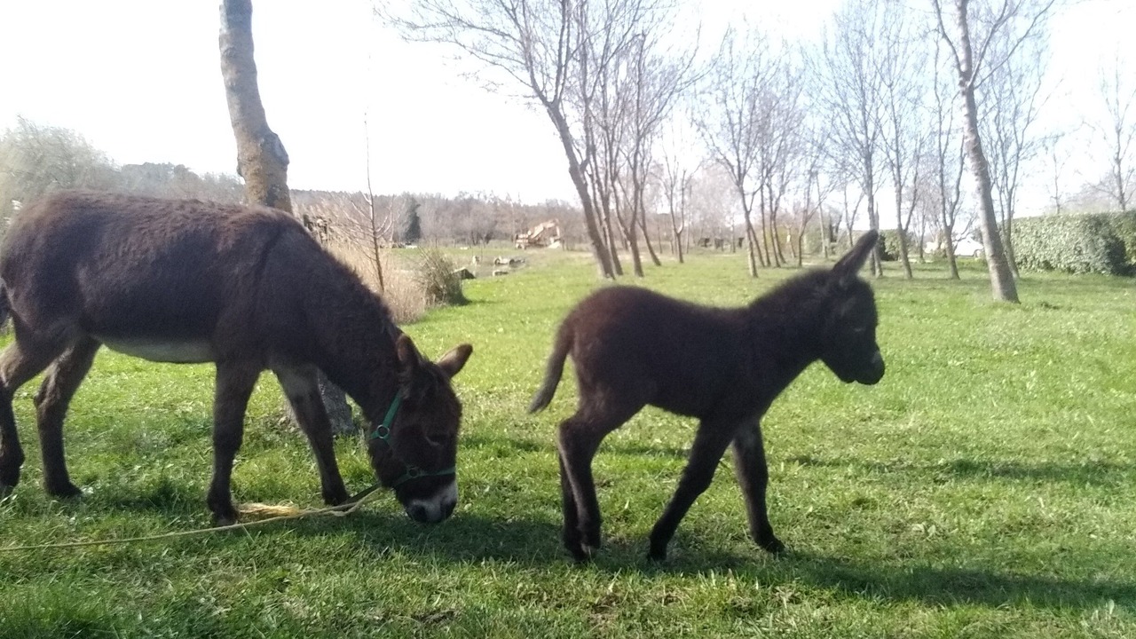 Photo of Outdoor in Saint-Paul-les-Fonts