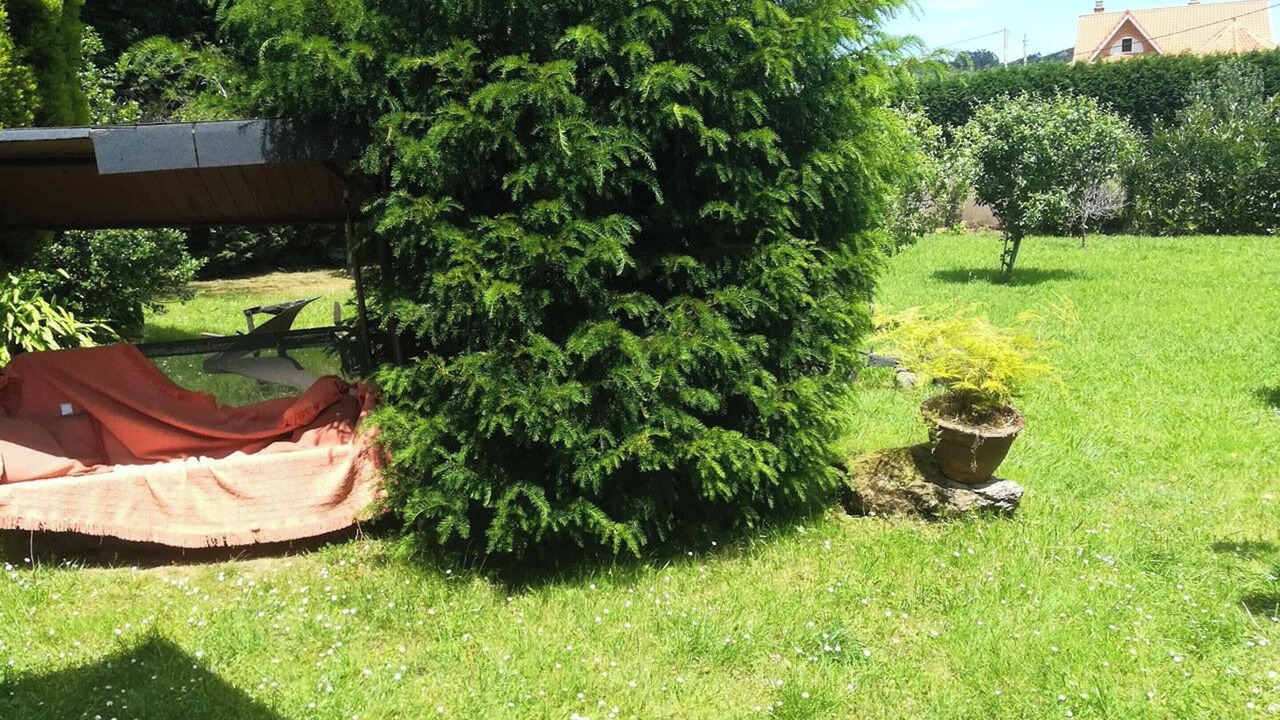 Photo of Outdoor in Orena