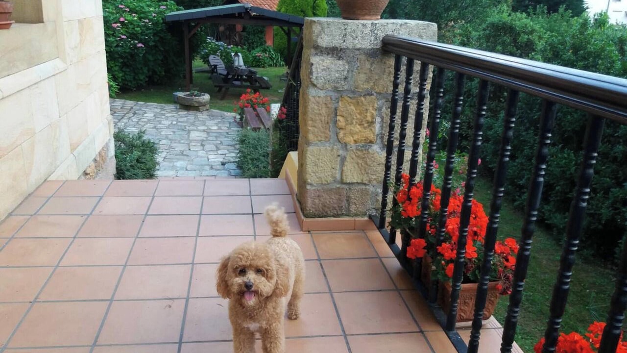 Photo of Outdoor in Orena