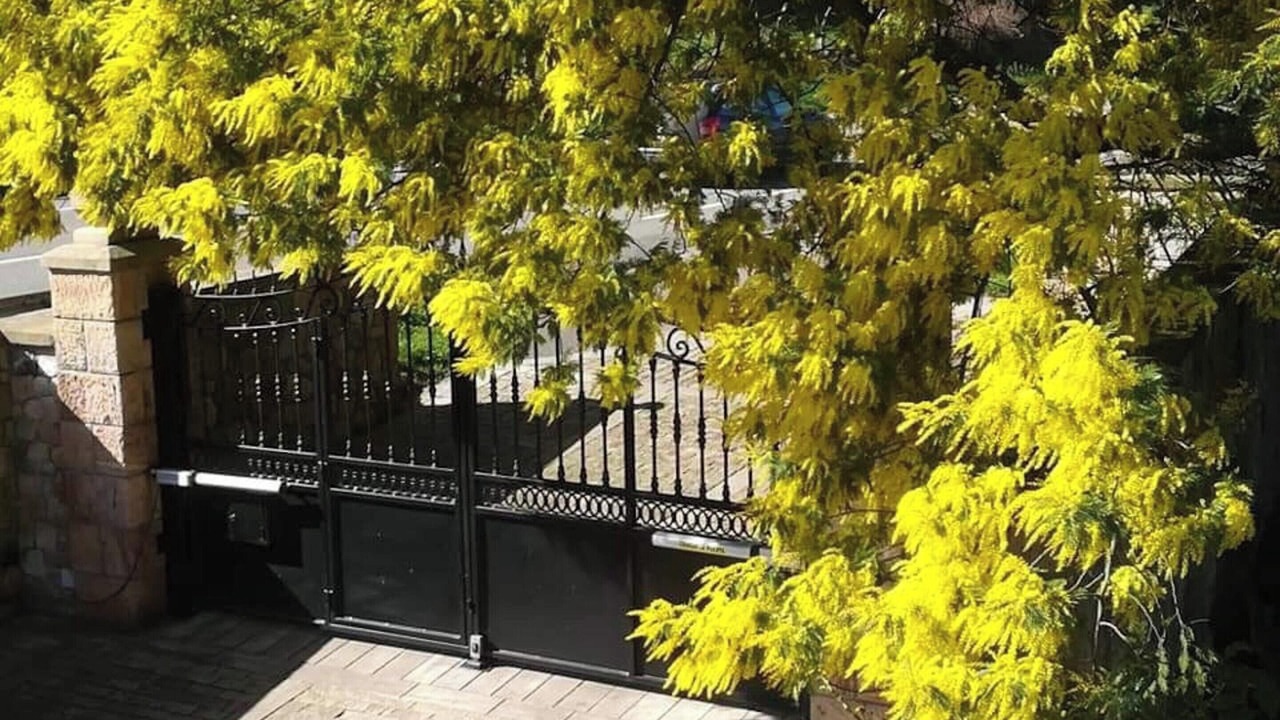 Photo of Outdoor in Orena