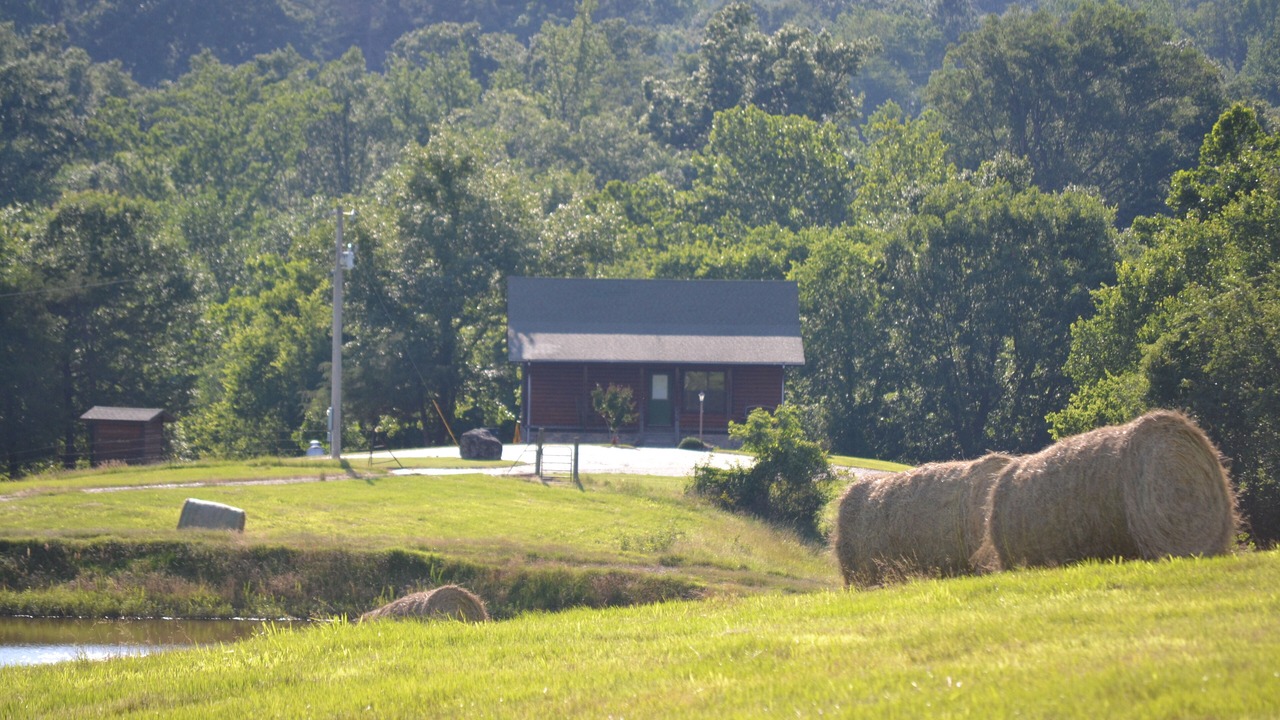 Photo of Outdoor in Smithville