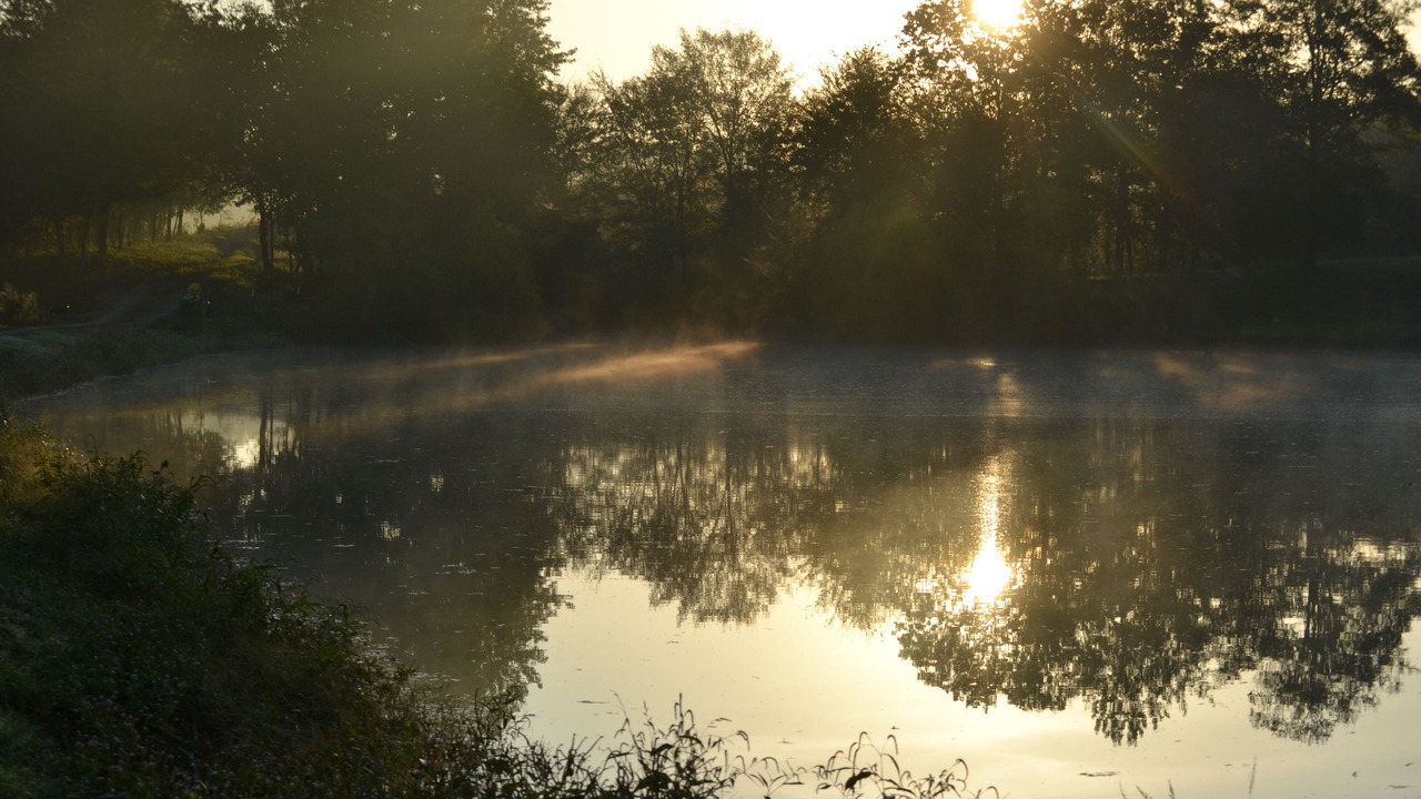 Photo of Others in Smithville