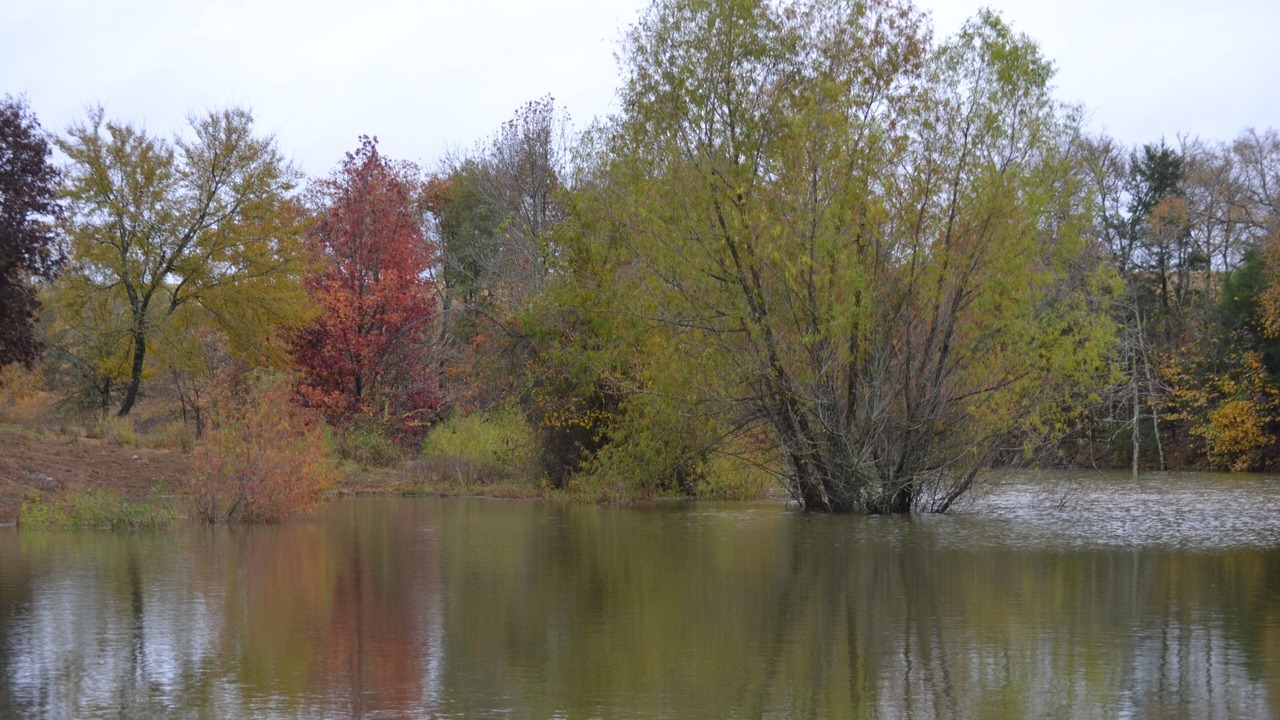 Photo of Outdoor in Smithville