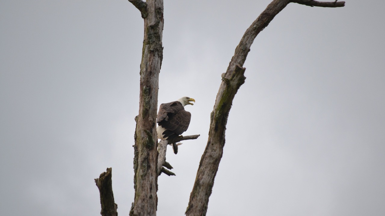 Photo of Others in Smithville