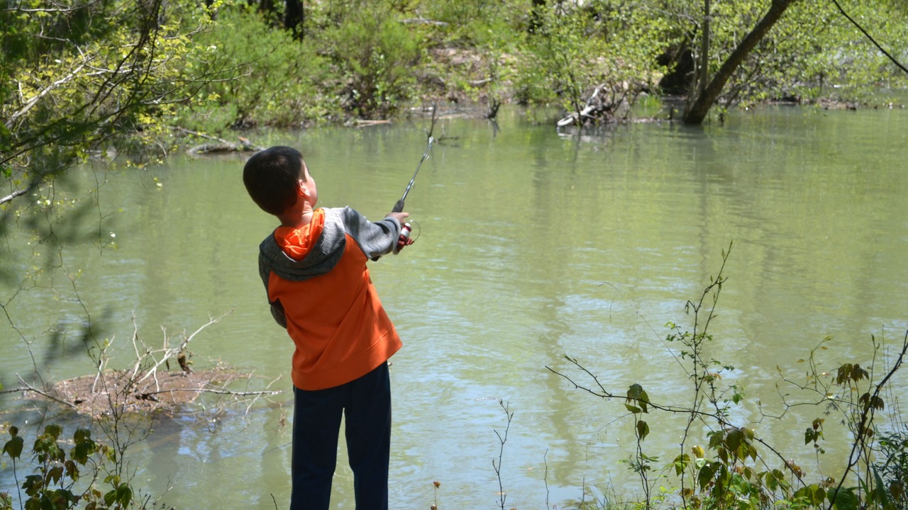 Photo of Others in Smithville