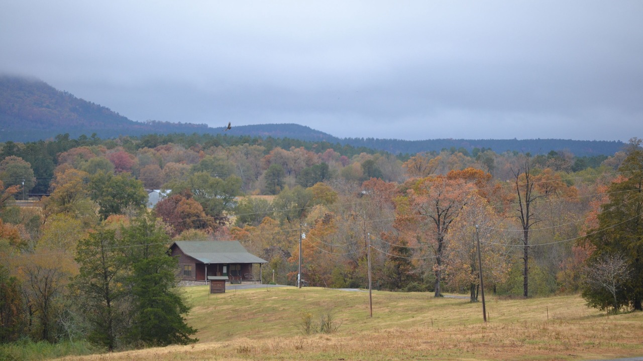 Photo of Outdoor in Smithville