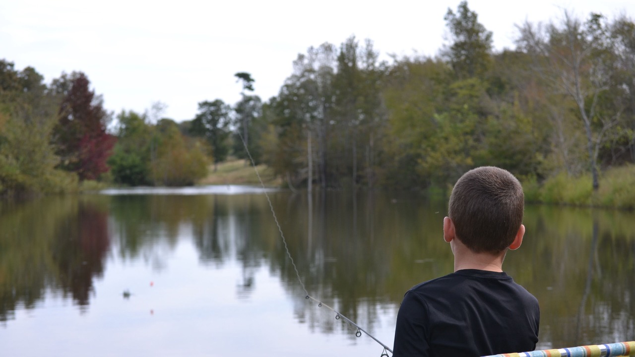 Photo of Outdoor in Smithville