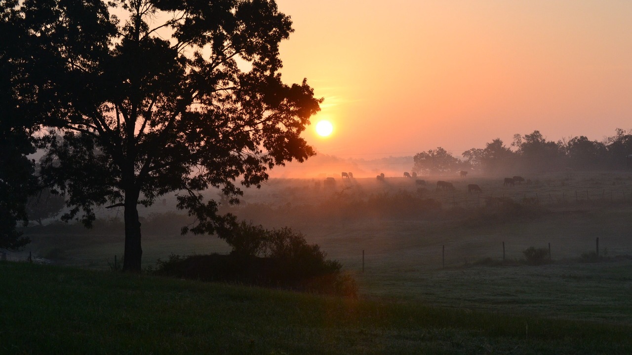 Photo of Others in Smithville