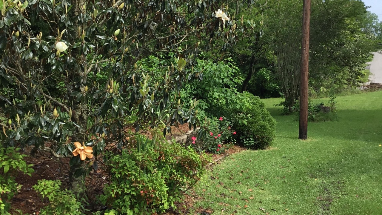 Photo of Others in Sumrall