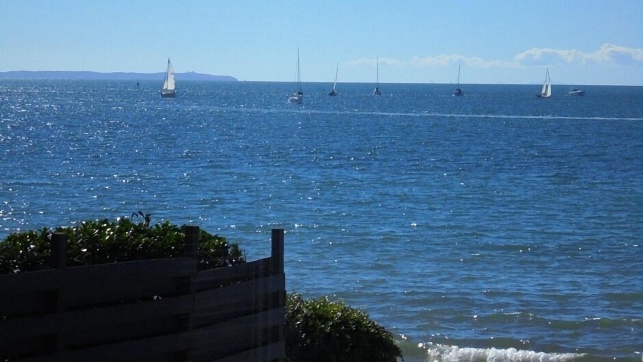 Photo of Others in Milford