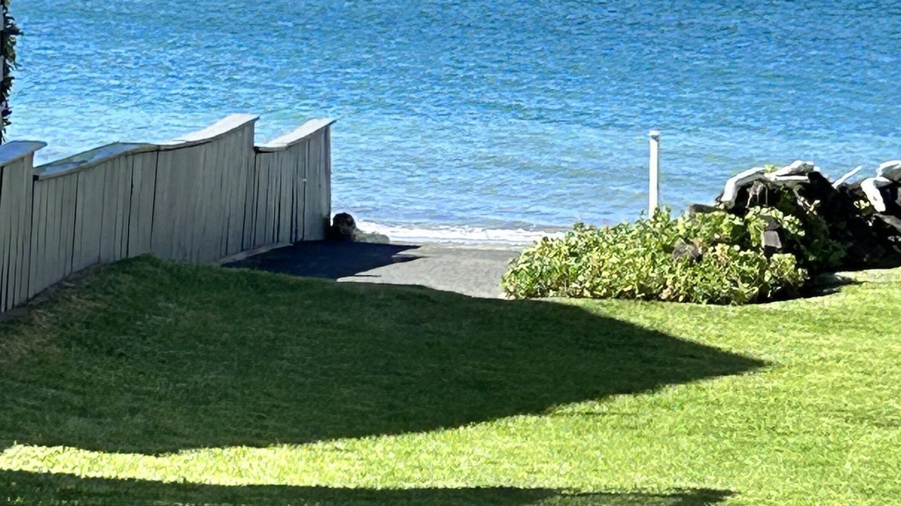 Photo of Others in Milford