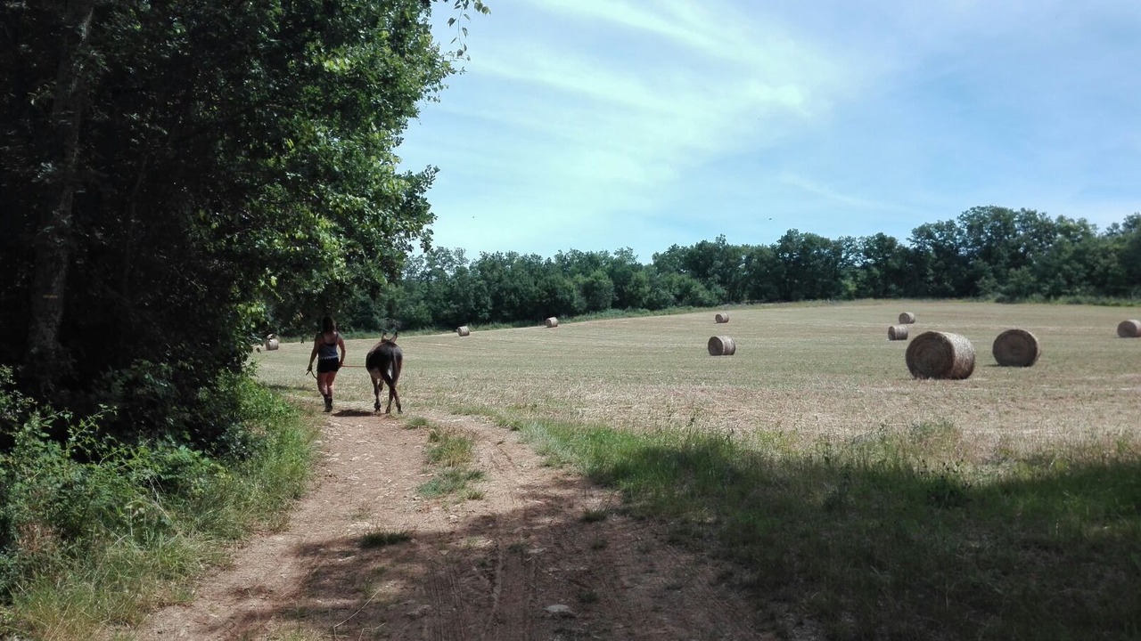 Photo of Others in Mauroux