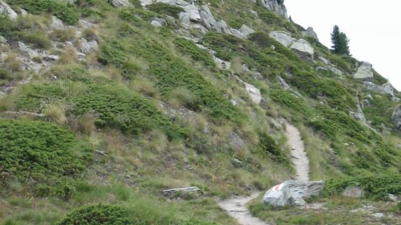 Photo of Others in Saint-Pierre-de-Clages