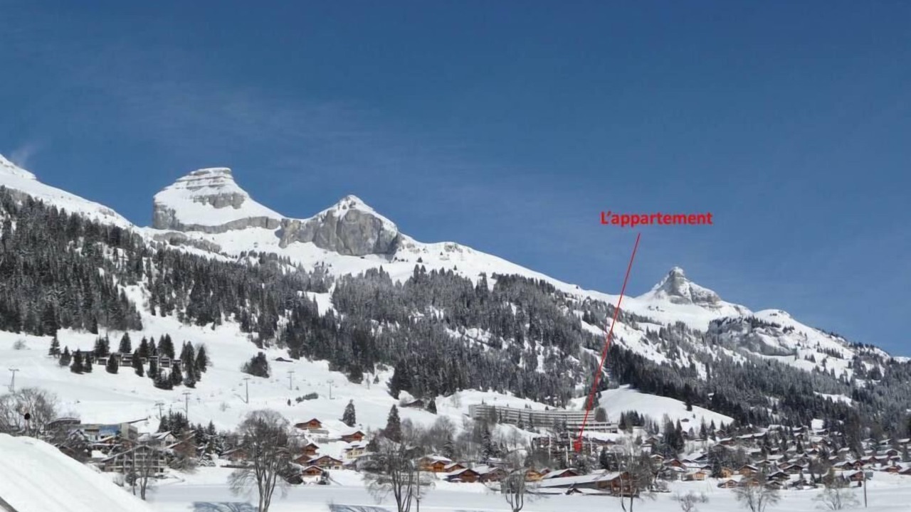 Photo of Others in Leysin