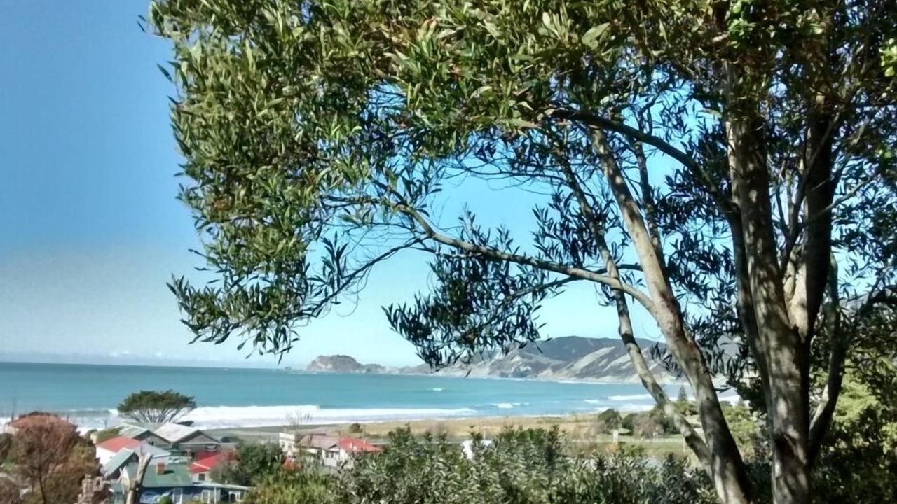 Photo of Others in Tokomaru Bay