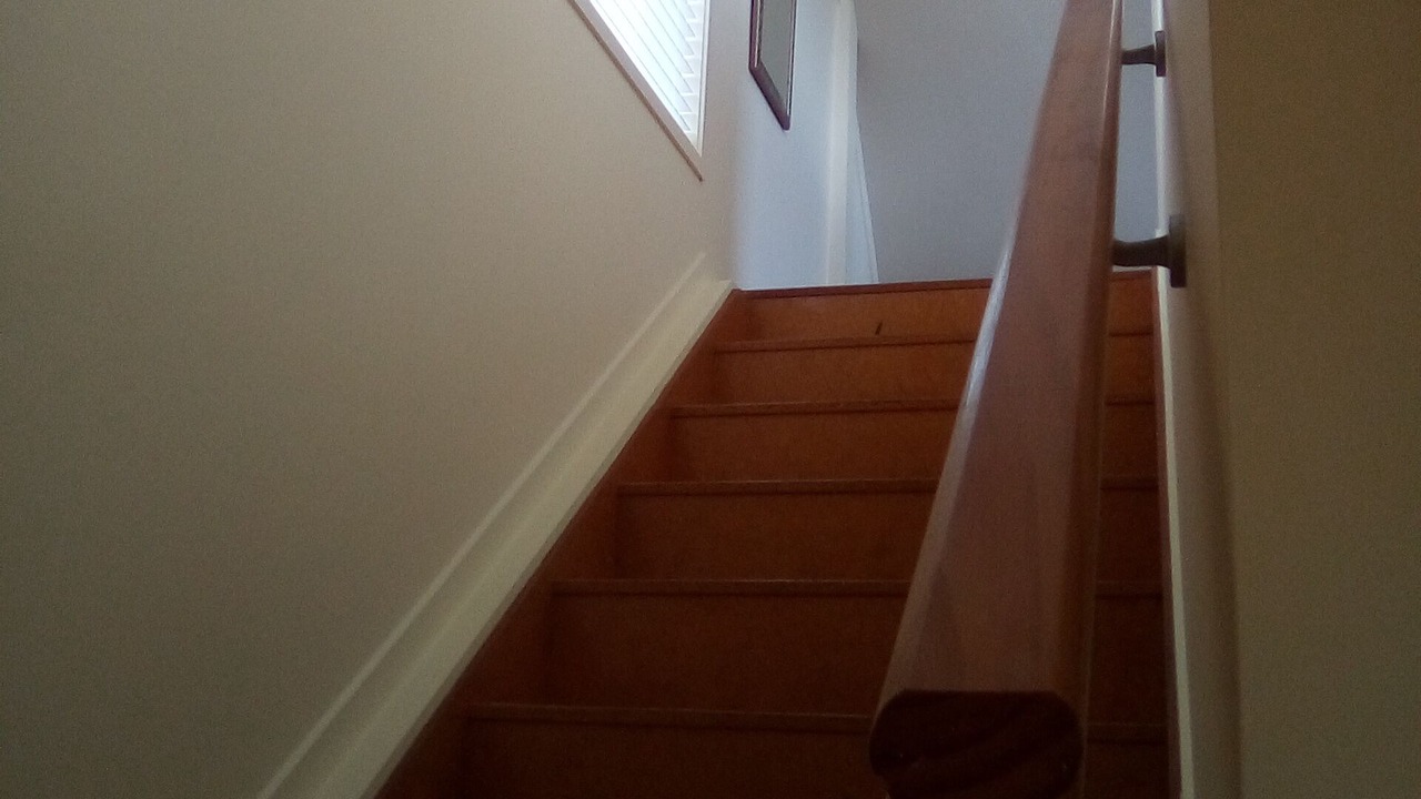 Photo of Others in Mangonui