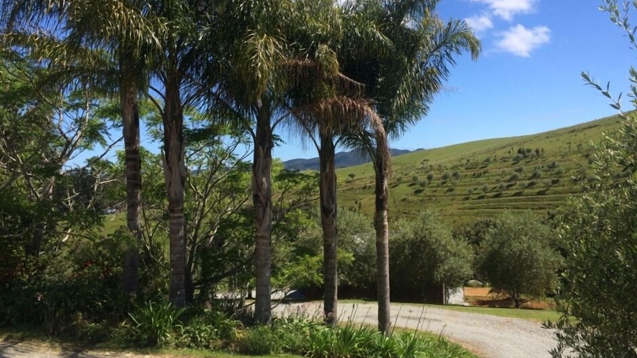 Photo of Others in Mangonui