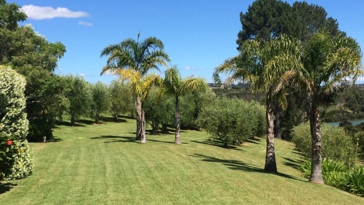 Photo of Others in Mangonui