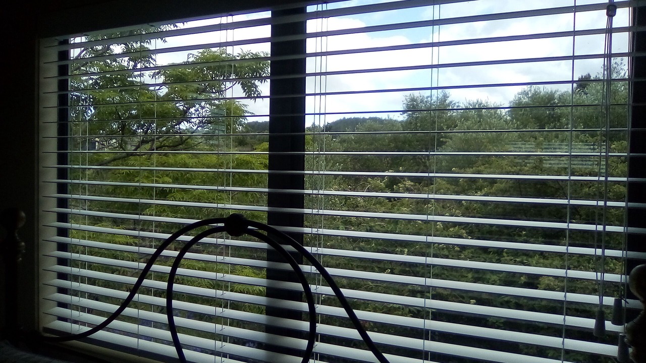 Photo of Others in Mangonui