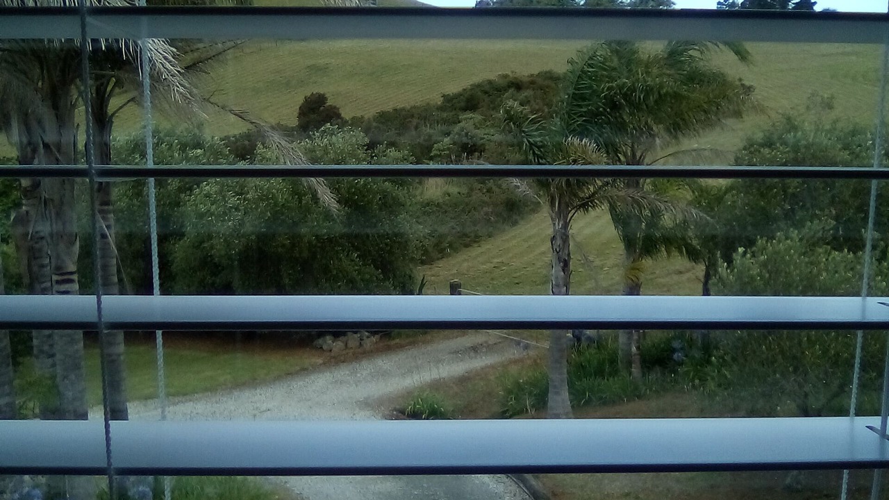 Photo of Others in Mangonui