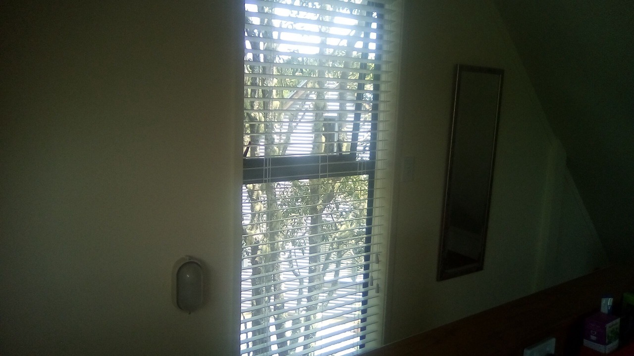 Photo of Others in Mangonui