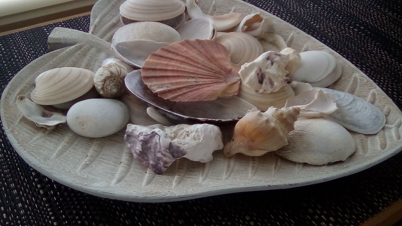 Photo of Others in Mangonui