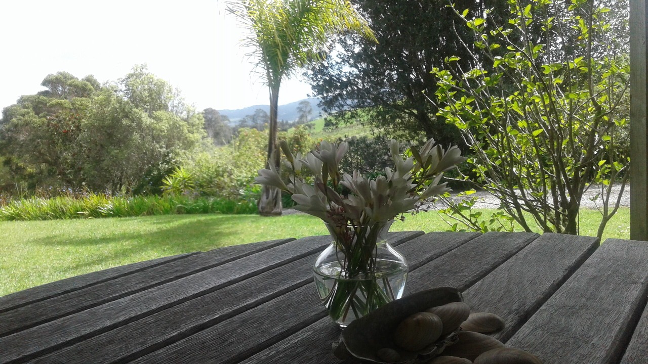 Photo of Others in Mangonui