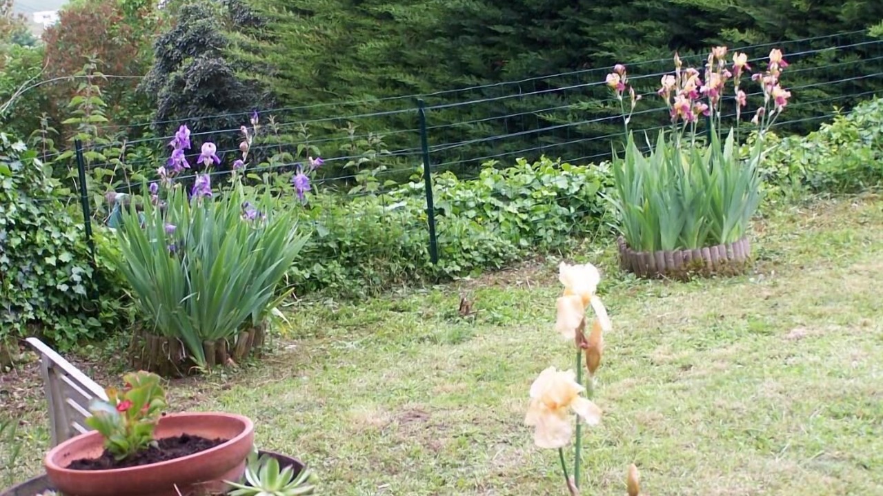 Photo of Outdoor in Vouvray