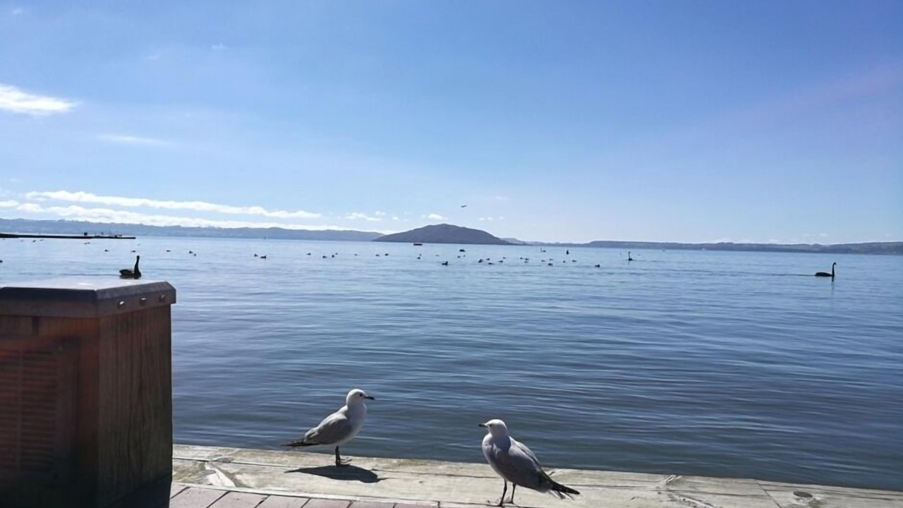 Photo of Others in Owhata