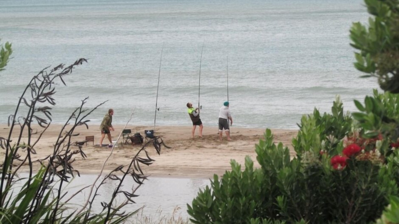 Photo of Others in Mataikona